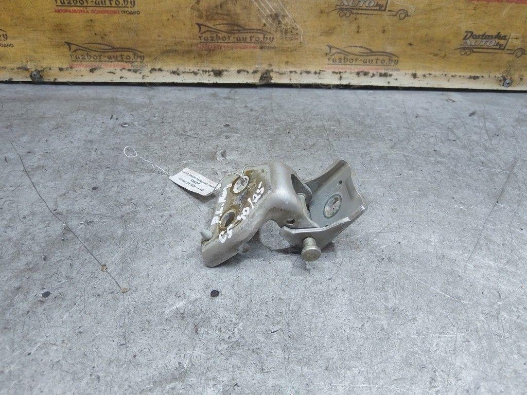 Петля двери передней левой F290DP Citroen C5 - Фото 2