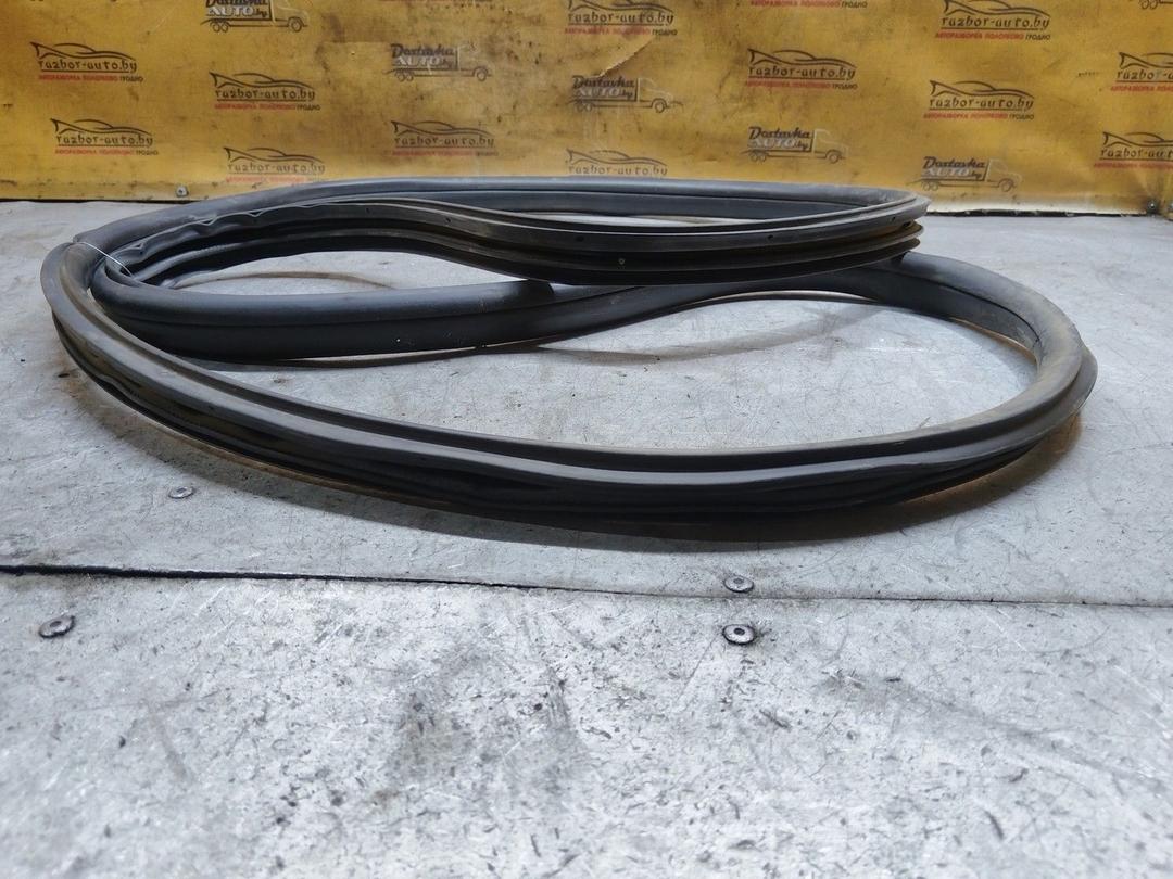 Уплотнитель двери задней правой AX7V61 Honda Accord купить