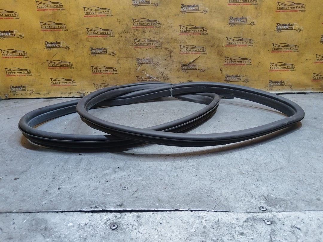 Уплотнитель двери передней правой LZT07A Ford Focus - Фото 4