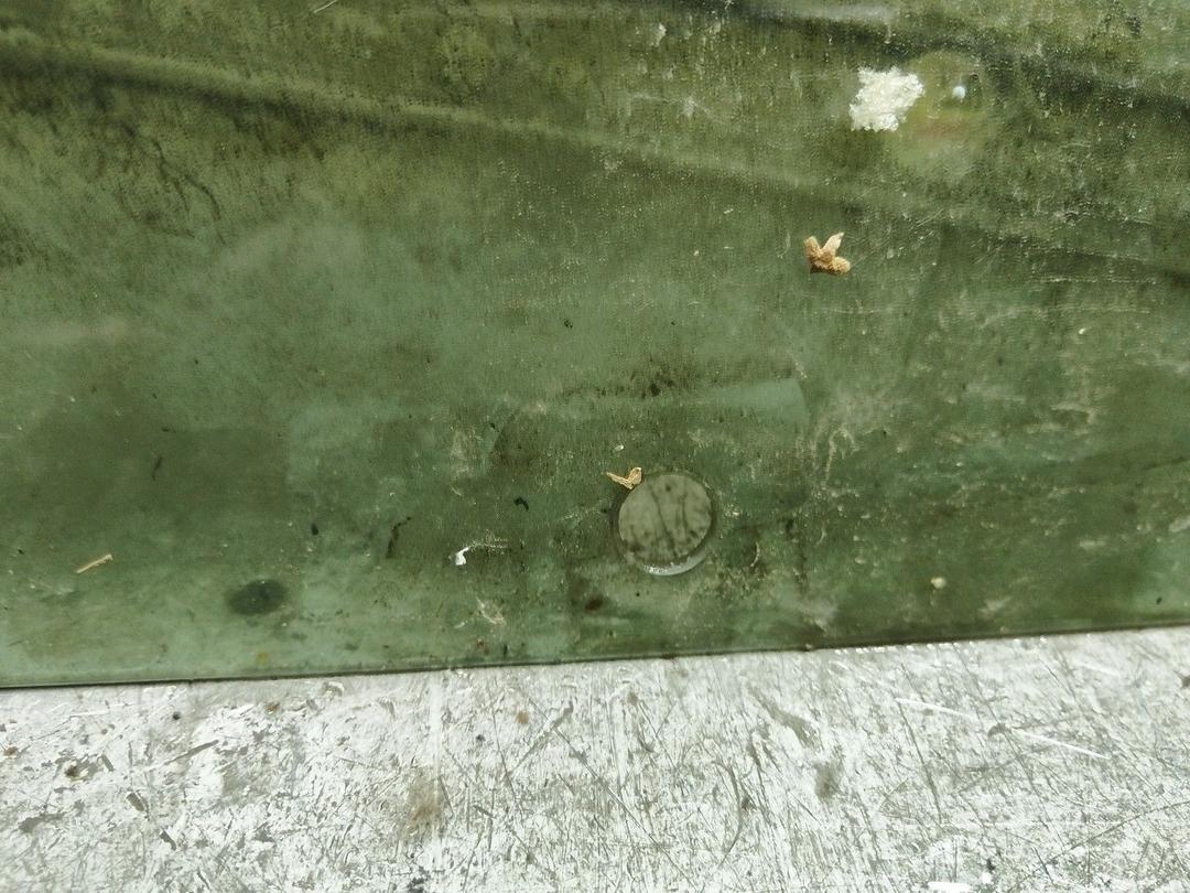 Стекло двери задней левой FEZJTS Citroen C3 купить в магазине запчастей бу