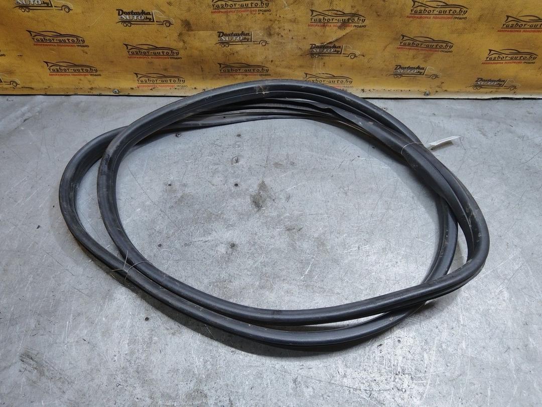 Уплотнитель двери задней левой CY11MH Skoda Fabia купить с доставкой