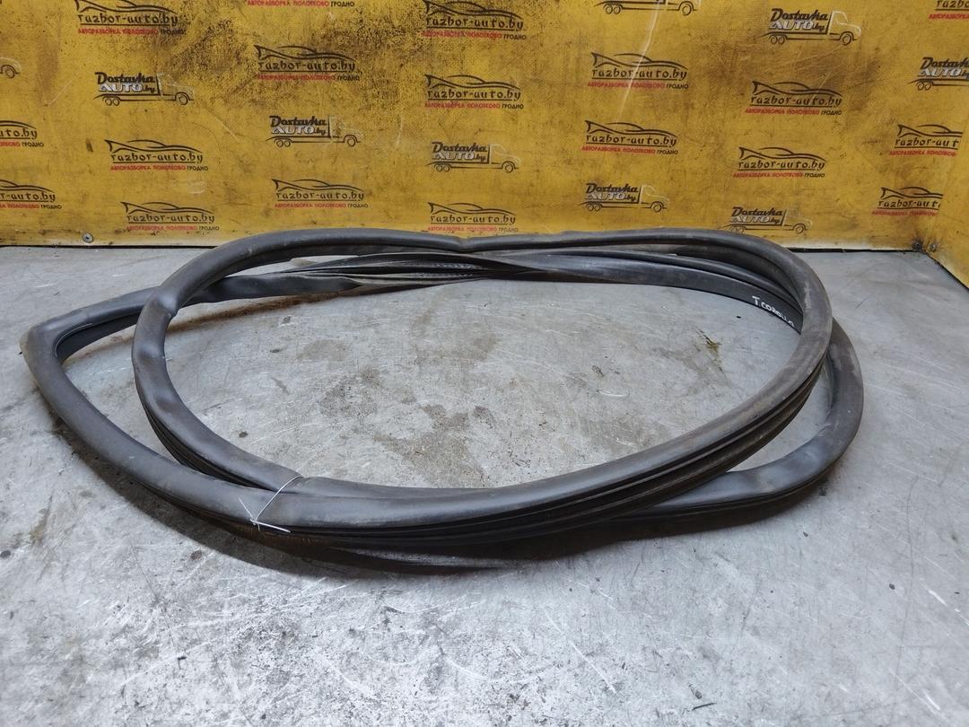 Уплотнитель двери задней левой R2YJLC Toyota Corolla купить в магазине запчастей бу