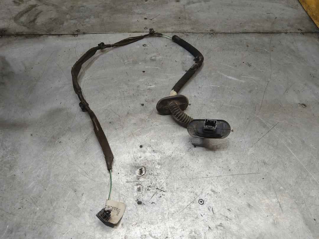 Проводка двери задней правой M9JEYY Renault Scenic - Фото 1