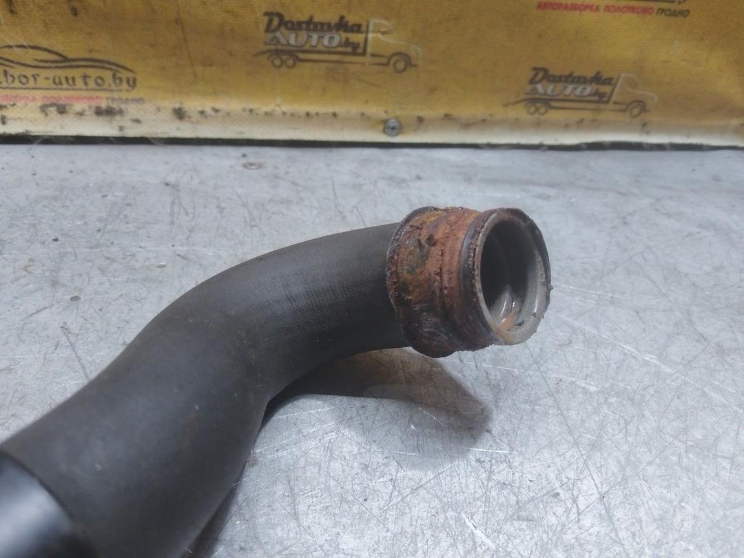 Патрубок радиатора RJD7L9 Peugeot 406 купить