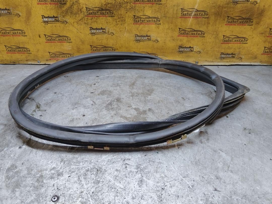 Уплотнитель двери задней левой R2YJLC Toyota Corolla купить с доставкой