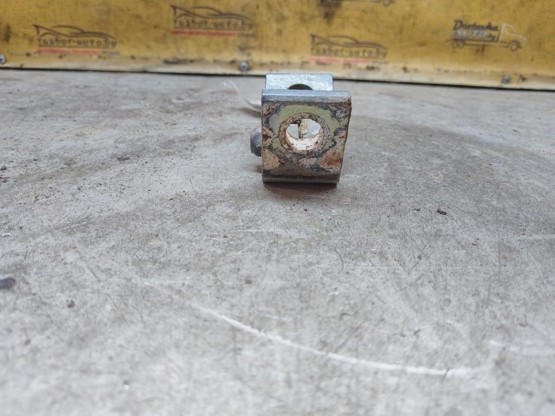 Петля двери задней левой DFZ4M4 Skoda Fabia купить с доставкой