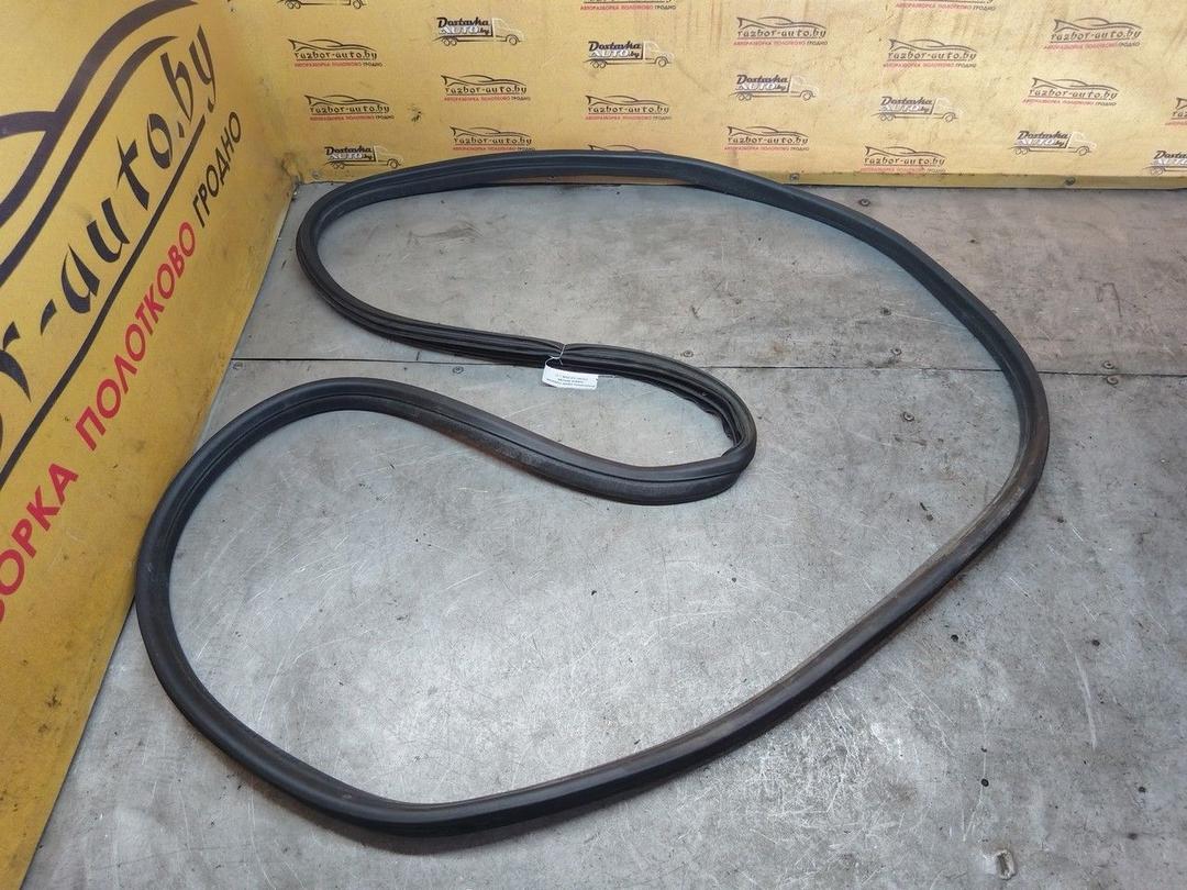 Уплотнитель двери передней правой 25KCBS Citroen C4 - Фото 1