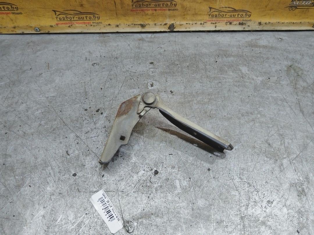 Петля капота правая B0FKXE Volkswagen Polo купить в магазине запчастей бу