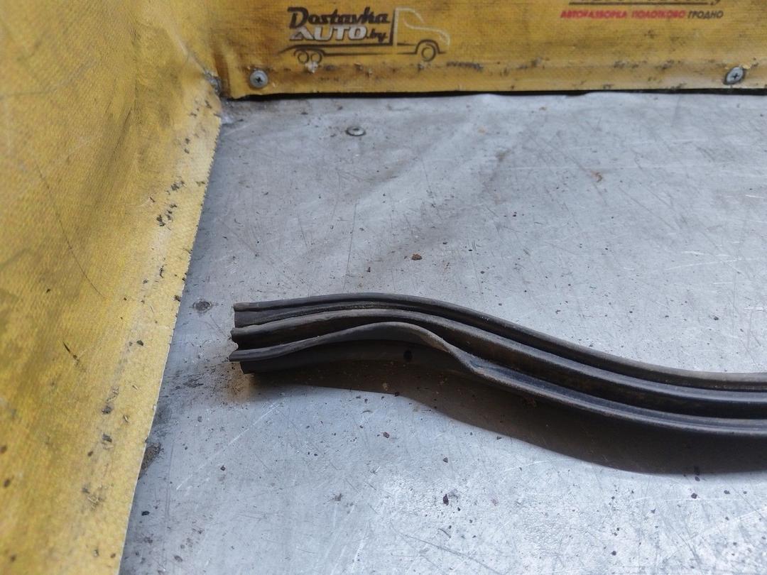 Уплотнитель капота 734OGL Citroen C3 купить с доставкой