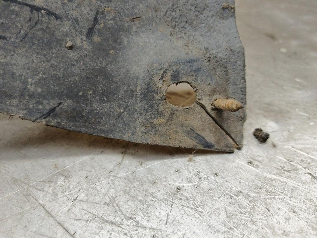 Защита арок задняя левая (подкрылок) BKEM53 Honda Accord купить с доставкой