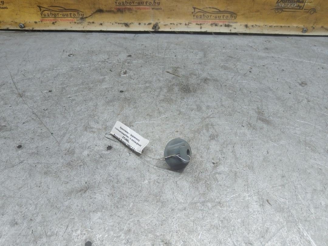 Крепление (крючок) солнцезащитного козырька 2TU5EL Renault Scenic