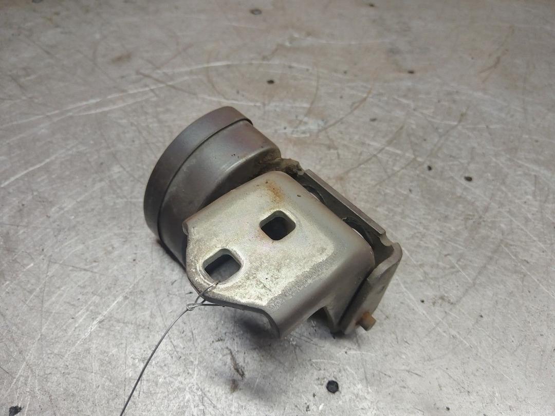 Петля двери задней правой 1SSO2V Renault Scenic - Фото 1