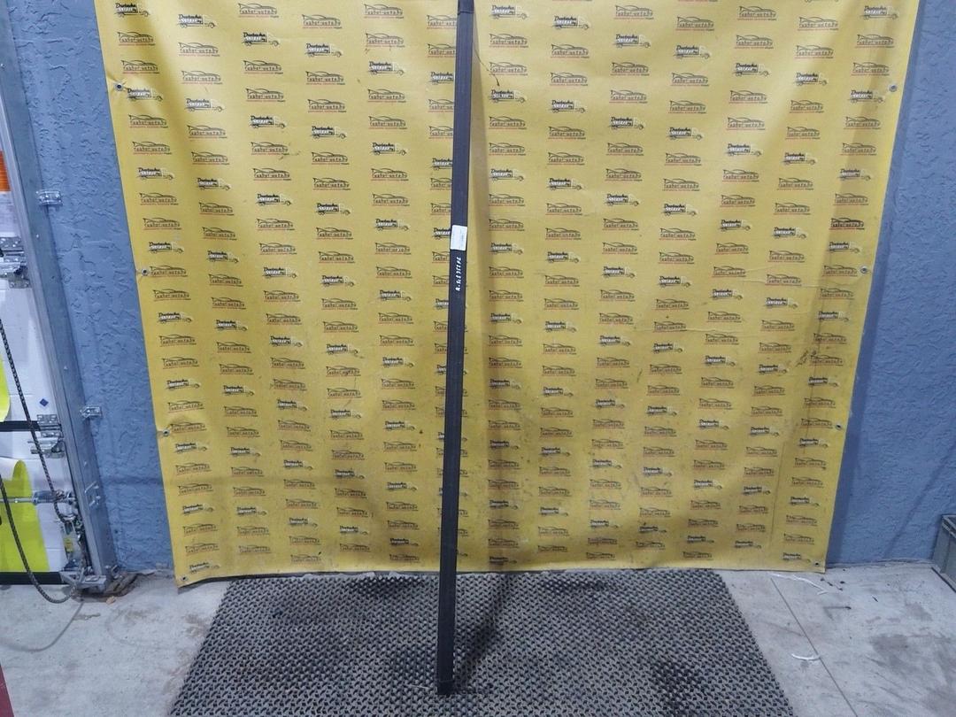 Молдинг крыши 8IEIPH Renault Scenic