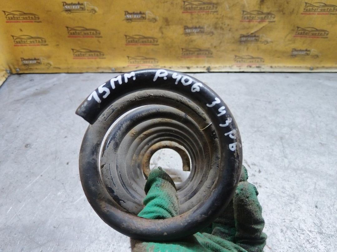 Пружина задняя RWG6WI Peugeot 406 - Фото 4