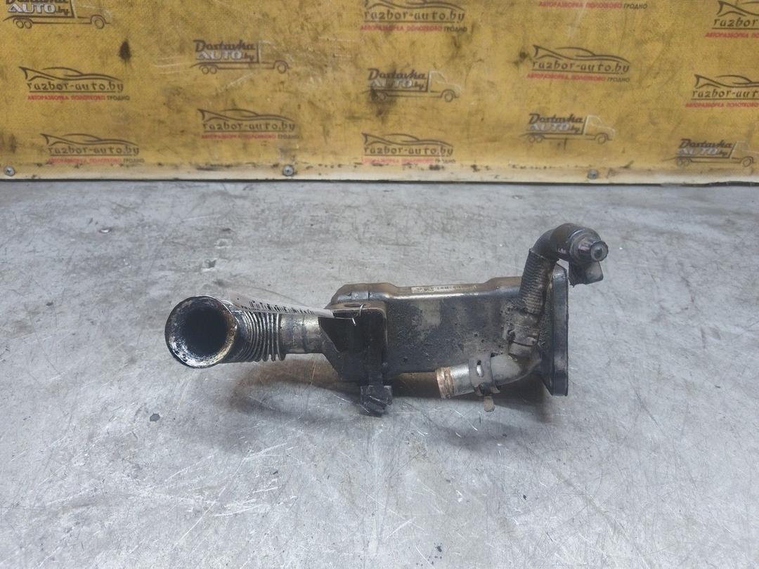 Радиатор EGR 0FG0XD Renault Scenic купить с доставкой