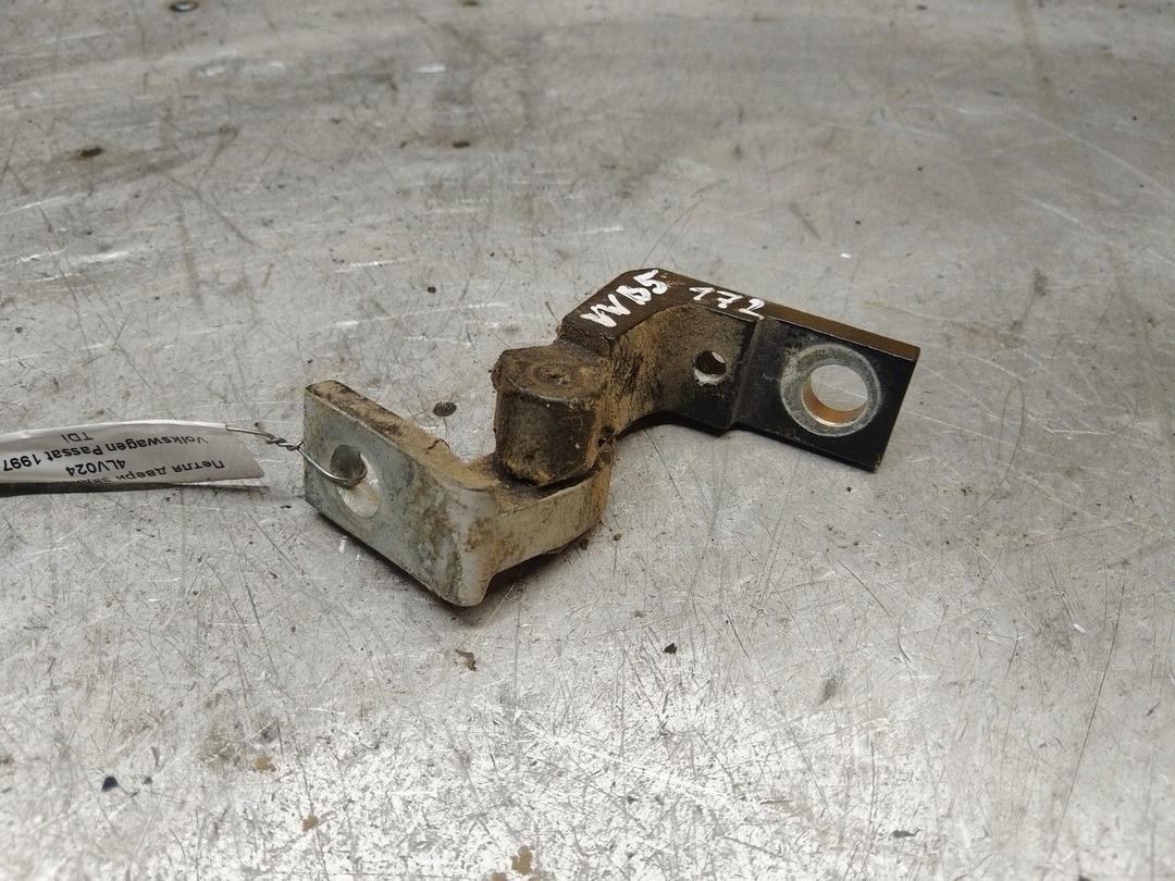 Петля двери задней левой 4LV024 Volkswagen Passat купить