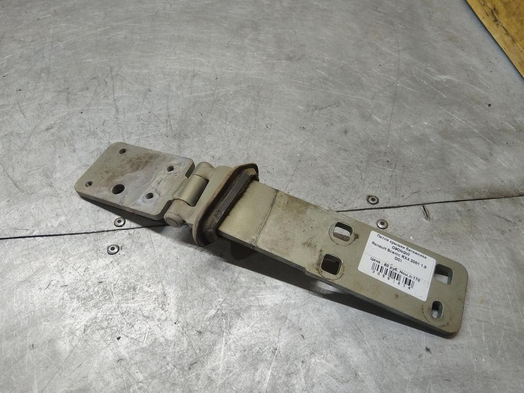 Петля крышки багажника O9ONGW Renault Scenic RX4