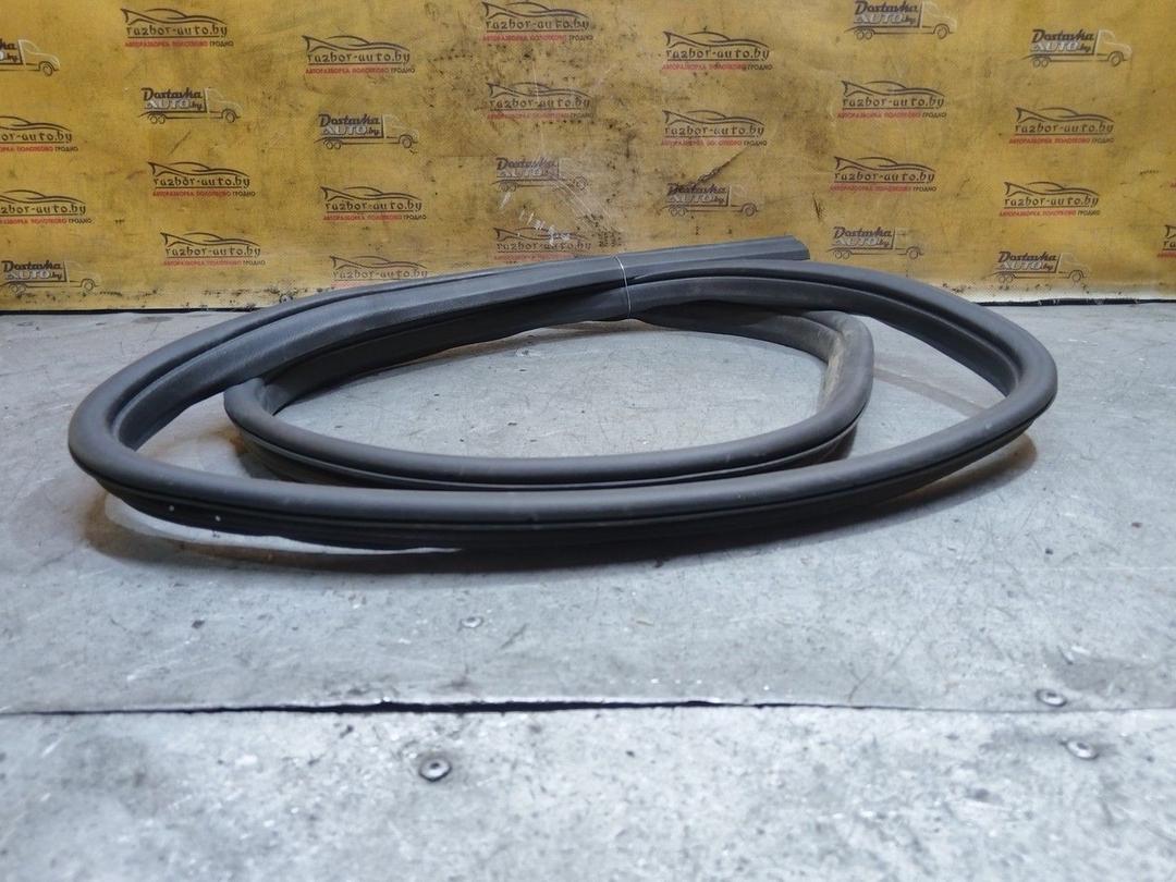 Уплотнитель двери задней правой 0IK2SX Ford Focus - Фото 4