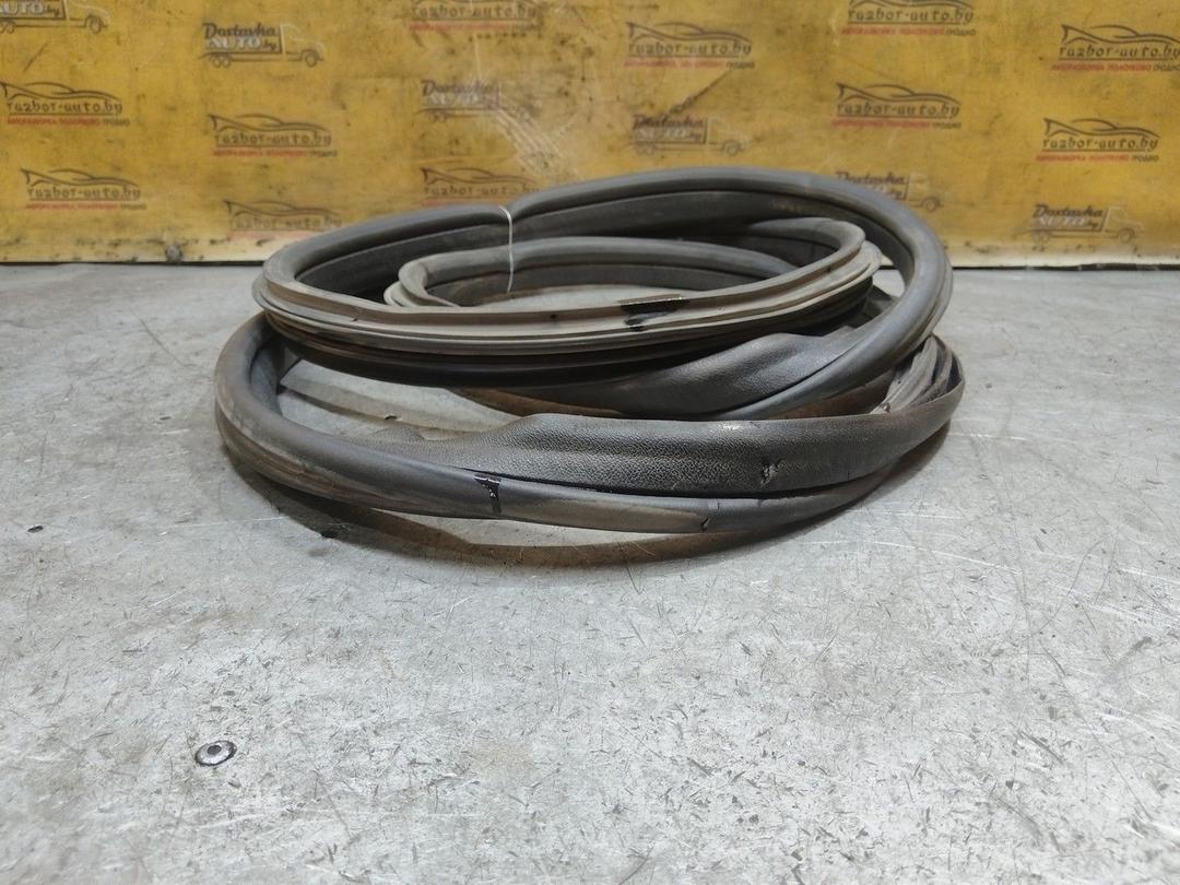 Уплотнитель двери задней правой 0ENMRH Fiat Linea - Фото 3