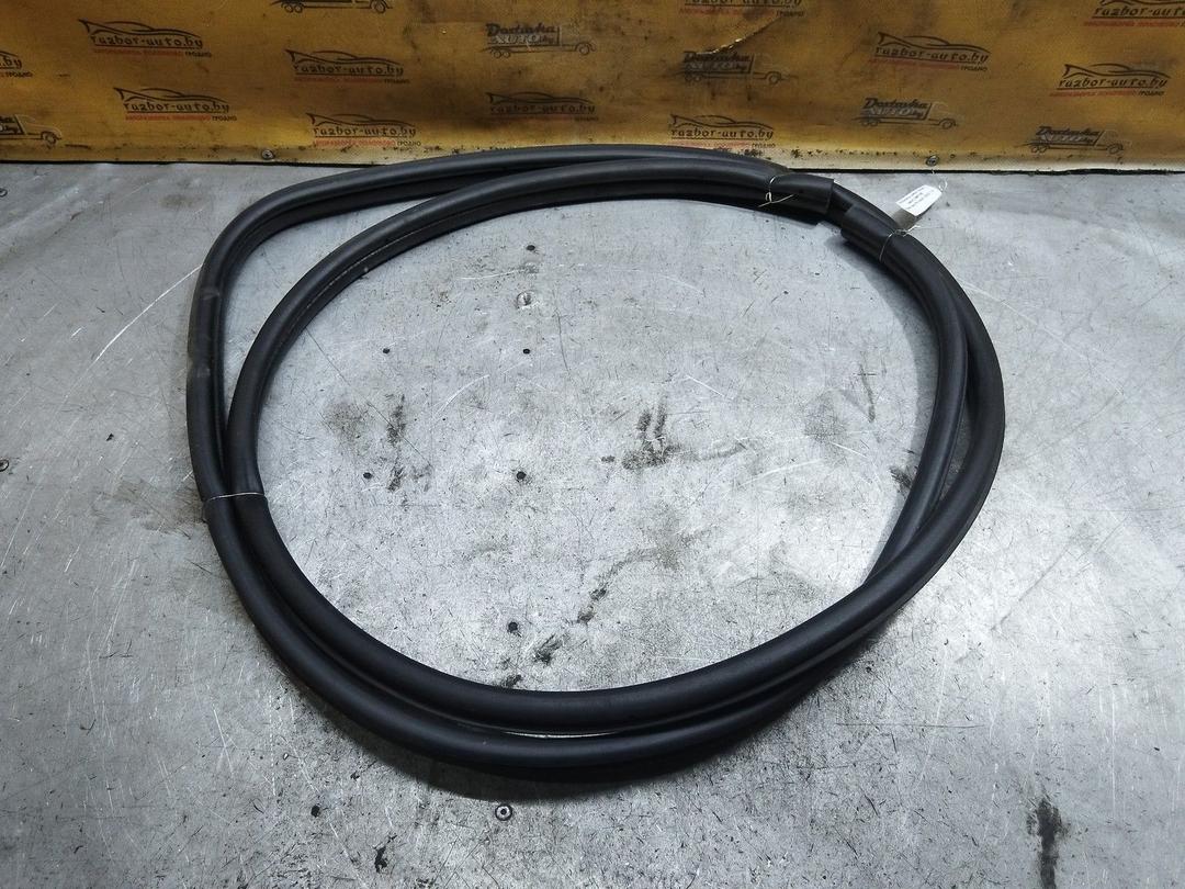 Уплотнитель двери задней левой O99Y3E Citroen Xsara Picasso