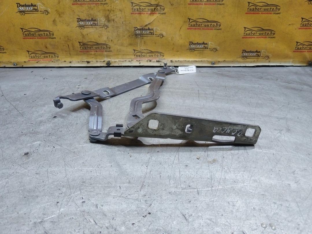 Петля крышки багажника S2T2KY Opel Omega купить