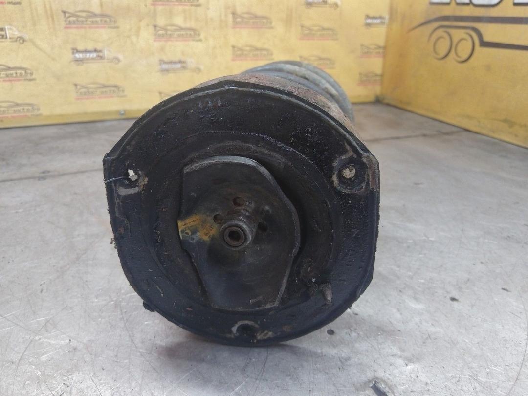 Амортизатор передний правый AD10HX Peugeot 406 купить с доставкой