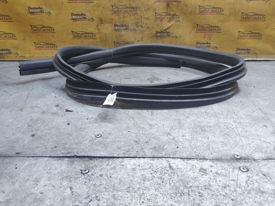 Уплотнитель двери задней правой FP2EKP Ford C-Max купить с доставкой