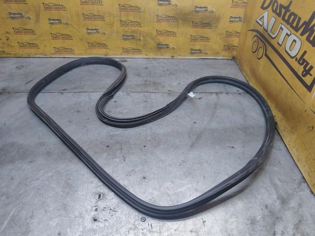 Уплотнитель двери задней правой DQ1D1I Citroen C4