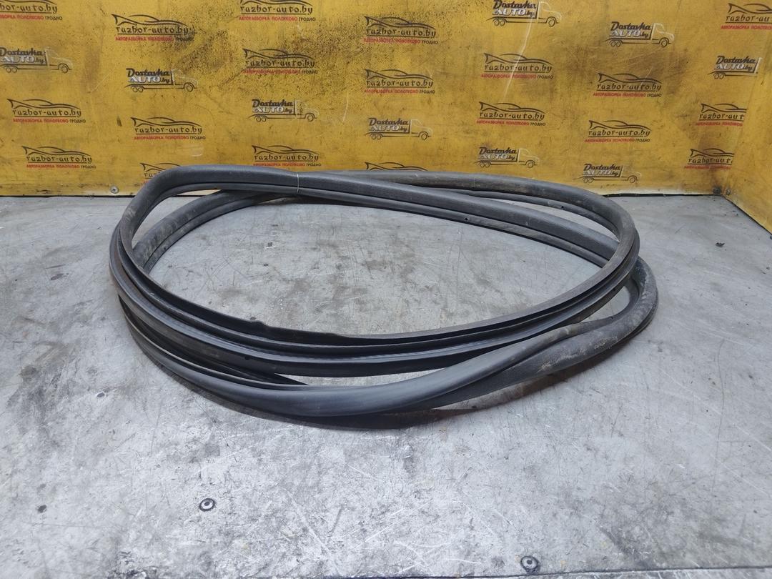 Уплотнитель двери задней левой 55Q4L5 Peugeot 307 купить с доставкой