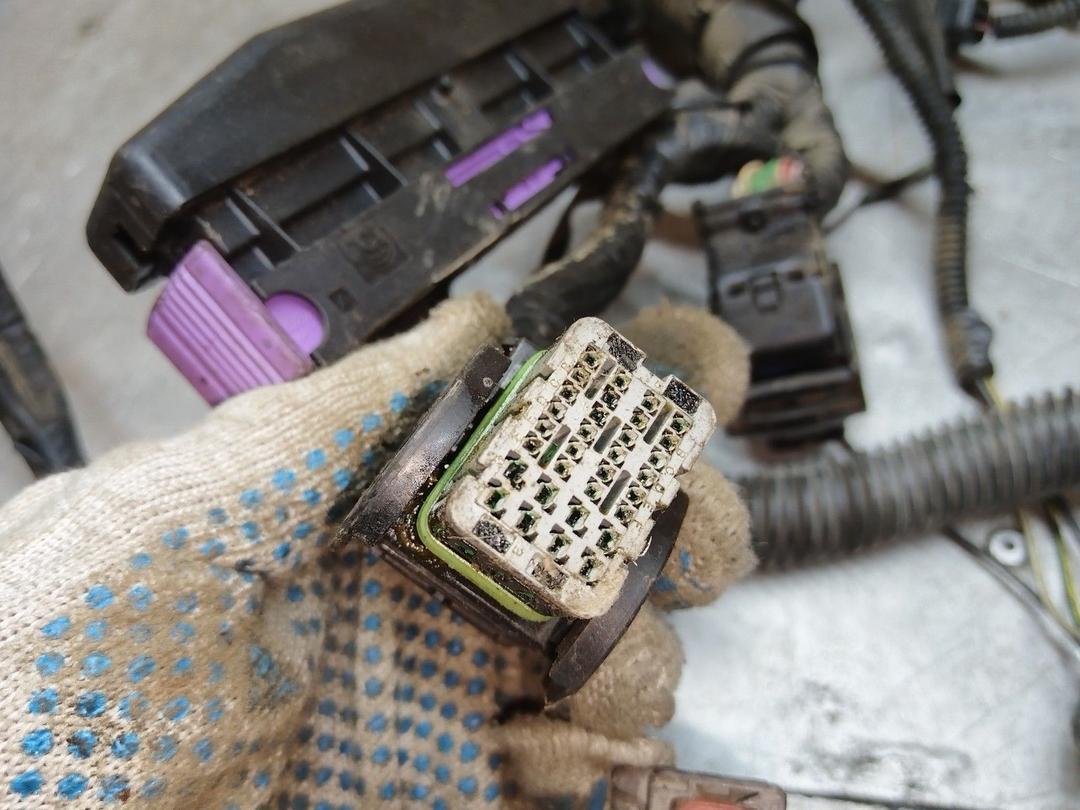 Проводка двигателя 392NLE Peugeot 406 купить на авторазборке