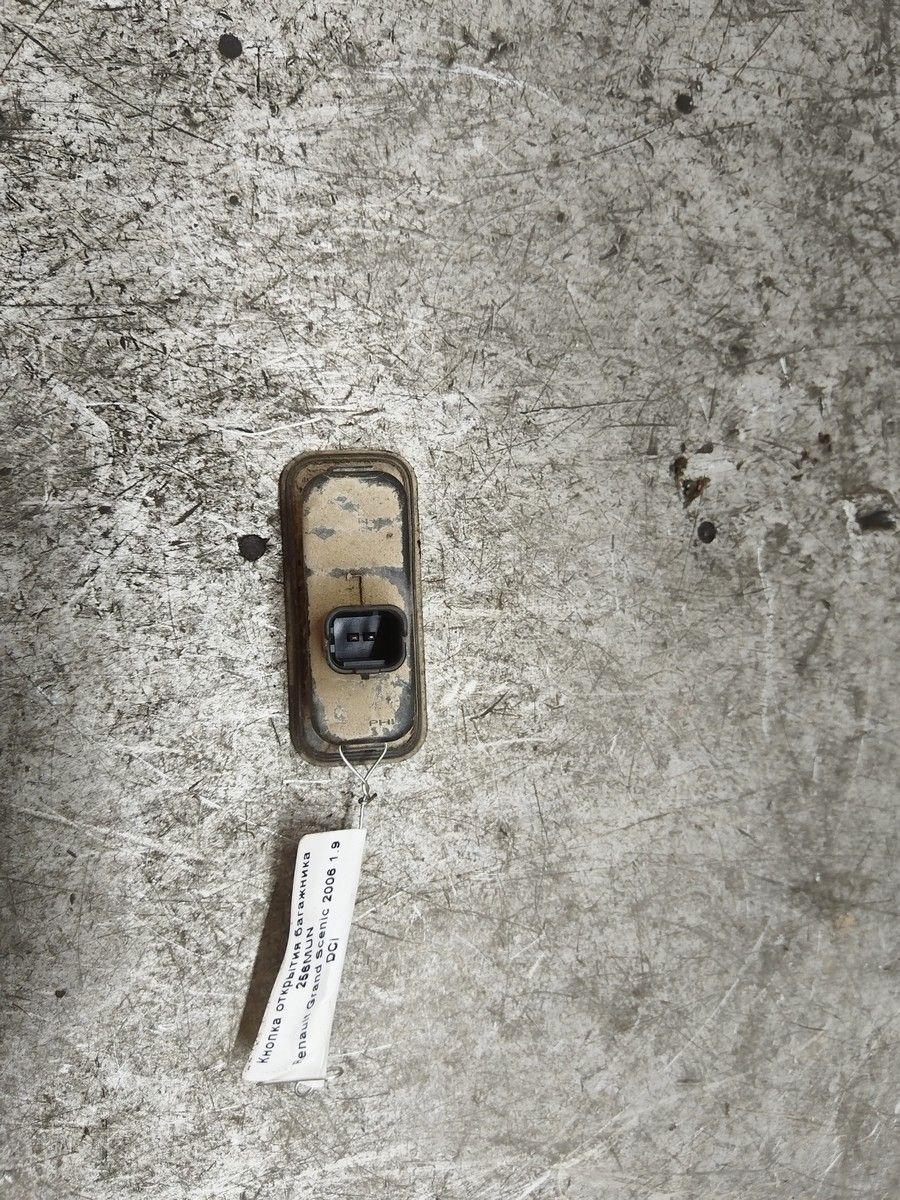 Кнопка открытия багажника 256MUN Renault Grand Scenic купить с доставкой