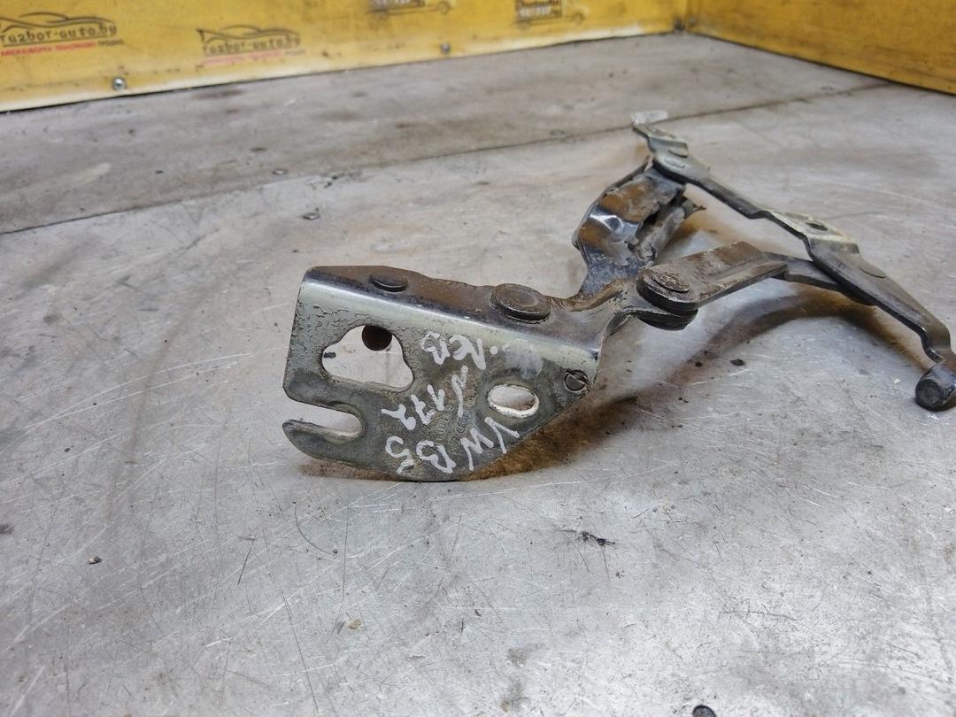 Петля крышки багажника P418IA Volkswagen Passat купить