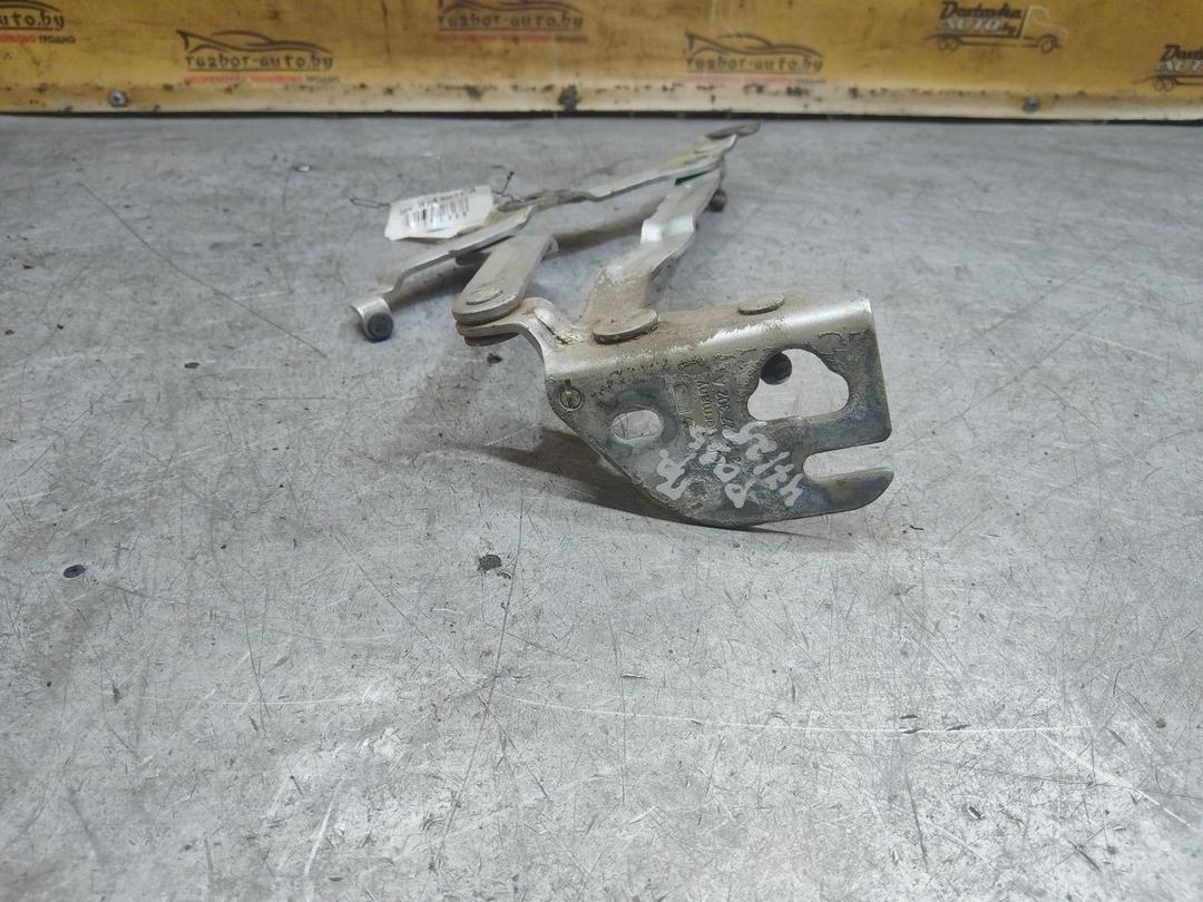 Петля крышки багажника SG84BX Volkswagen Passat купить