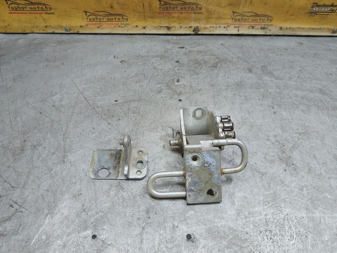 Петля двери передней правой EZQA6K Volkswagen Passat купить с доставкой