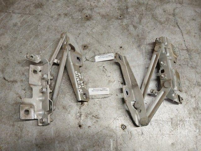 Петля капота 1Z8BEW Opel Insignia купить