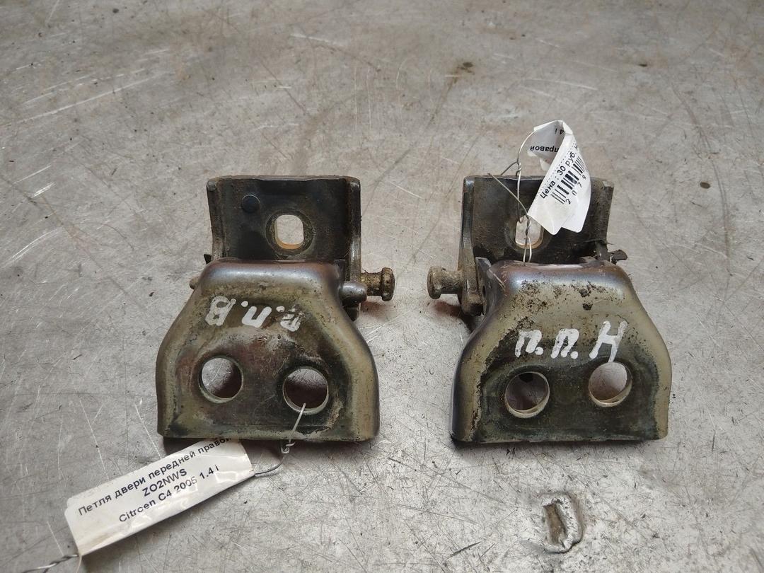 Петля двери передней правой ZO2NWS Citroen C4