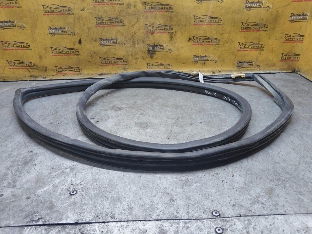 Уплотнитель двери задней левой NSIFJ4 Toyota Corolla купить