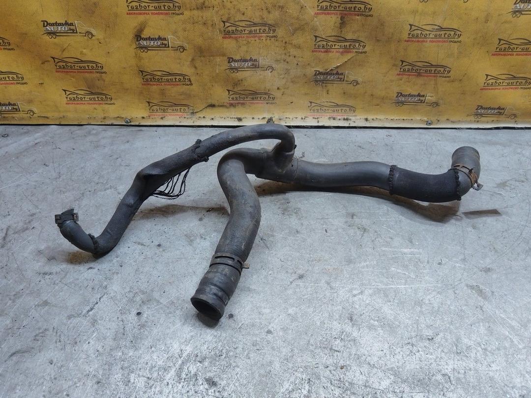 Патрубок радиатора WD5YIA Renault Laguna купить