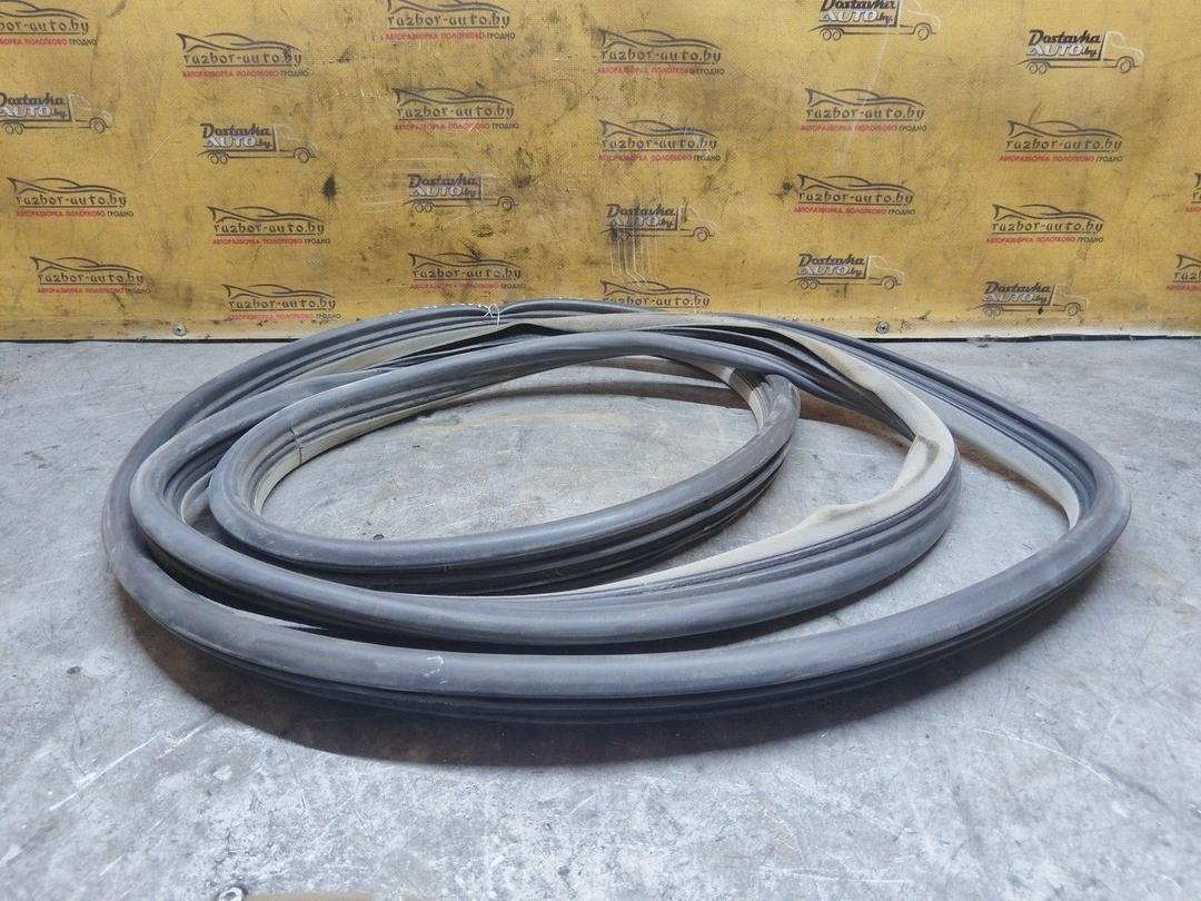 Уплотнитель двери задней левой 9607O6 Renault Espace купить с доставкой