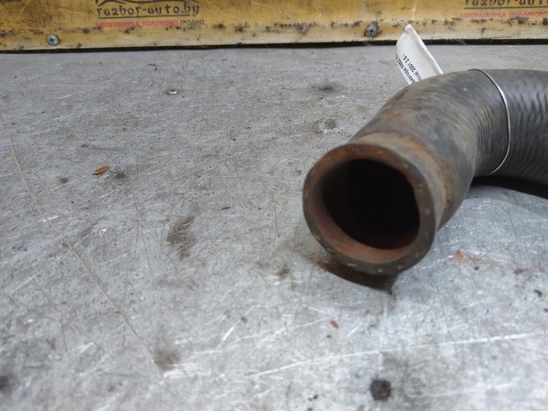 Патрубок радиатора N86ZVE Kia Carnival - Фото 2