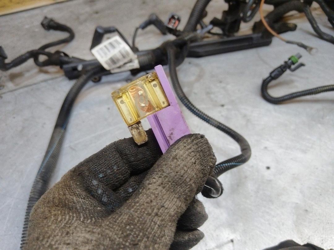 Проводка двигателя M3ZS50 Opel Astra - Фото 6