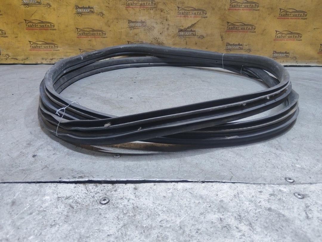 Уплотнитель двери задней левой 3BAG4F Citroen Xsara Picasso - Фото 4