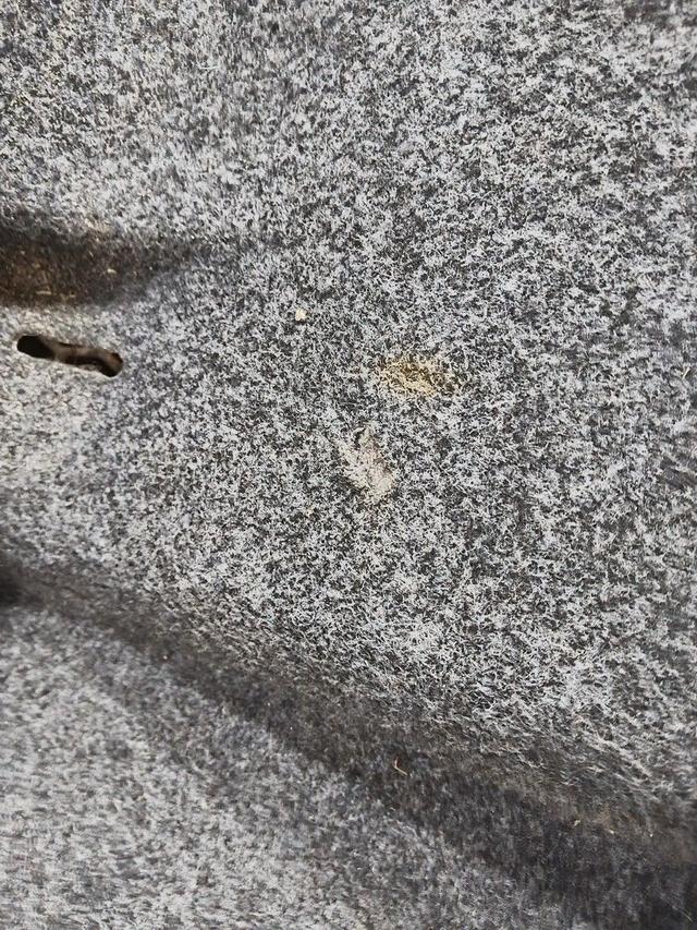 Обшивка багажника 5X75GH Saab 9-3 купить на авторазборке