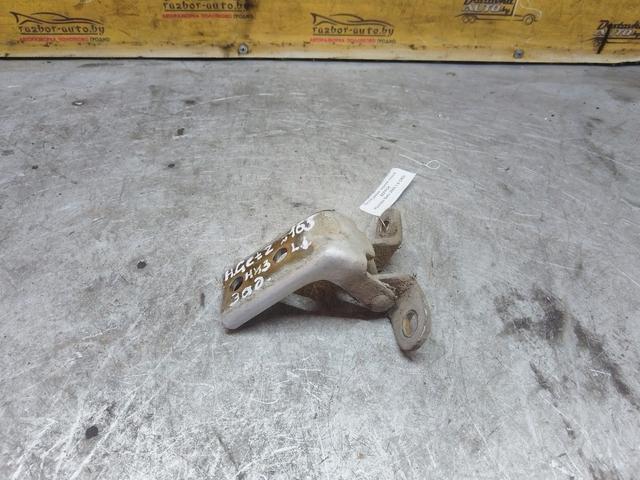 Петля двери задней левой 9ZFPCK Hyundai Getz купить с доставкой