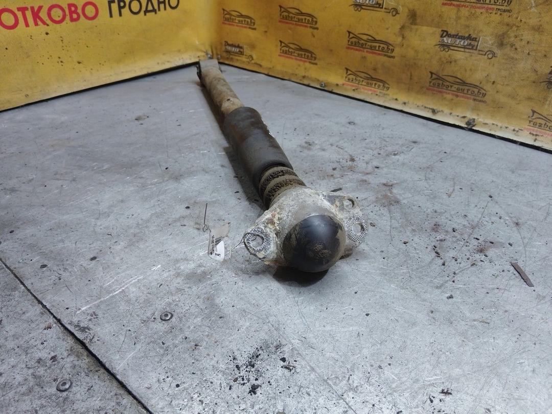 Амортизатор задний левый P9TSHB Skoda Fabia купить с доставкой