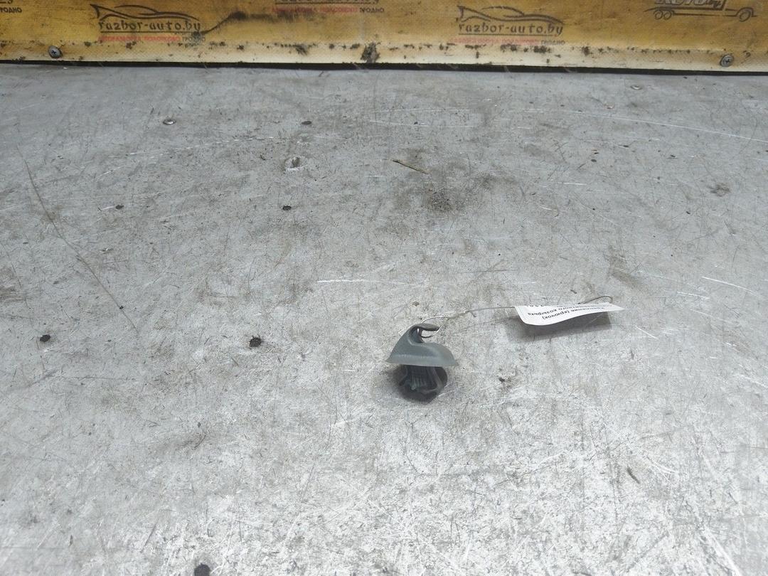 Крепление (крючок) солнцезащитного козырька 2TU5EL Renault Scenic купить