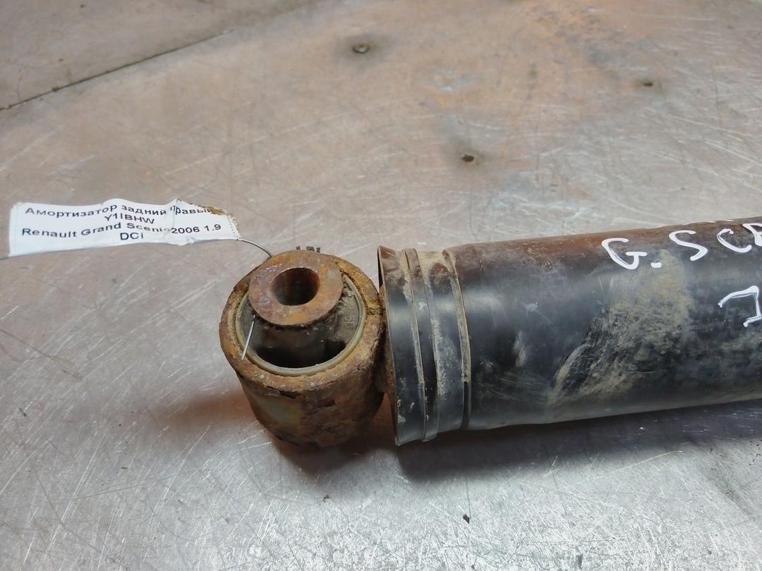 Амортизатор задний правый Y1IBHW Renault Grand Scenic купить в магазине запчастей бу