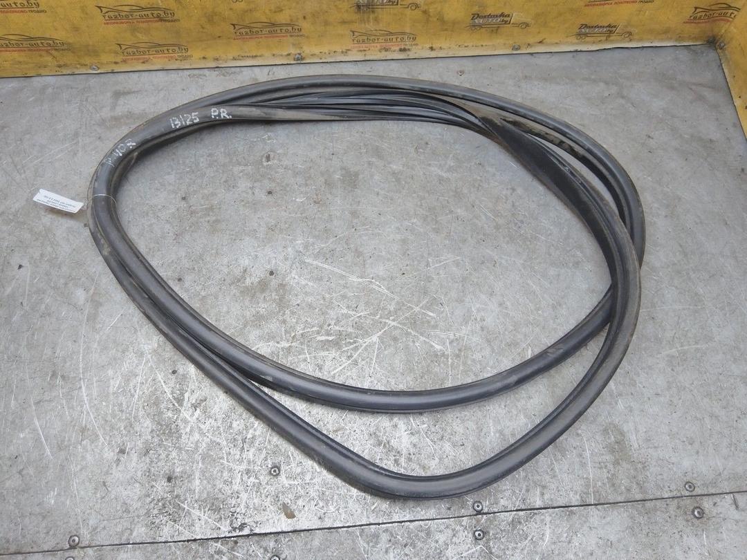 Уплотнитель двери передней правой L0WVTP Peugeot 407 купить в магазине запчастей бу