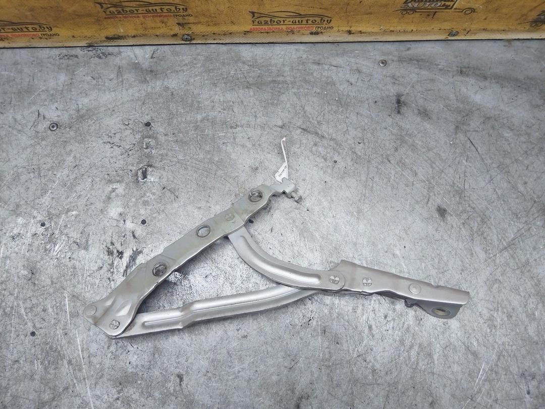 Петля крышки багажника ELA7BH Volvo S40 купить