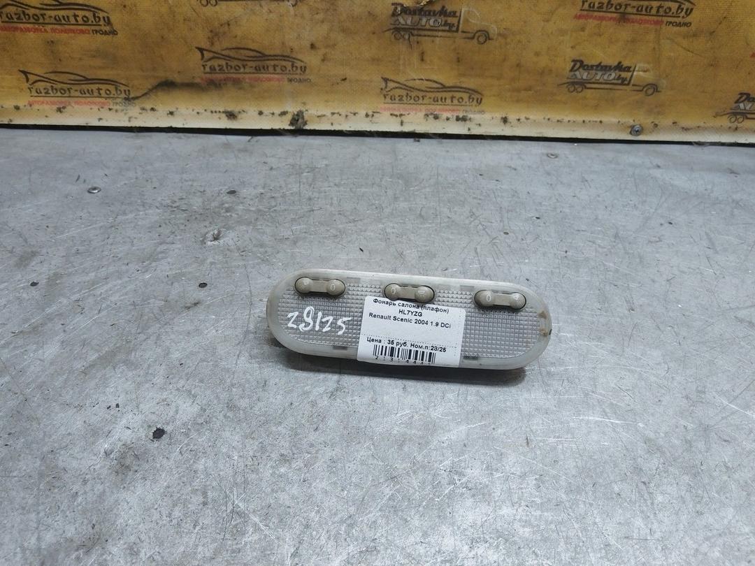 Фонарь салона (плафон) 8ZJ0ET Renault Scenic